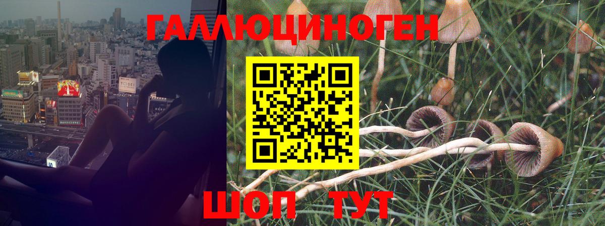Павлово  Галлюциногенные грибы GOLDEN TEACHER  Галлюциногенные грибы Cubensis  Вход с VPN 