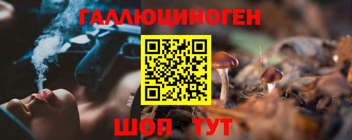 Галлюциногенные грибы Psilocybine cubensis Павлово